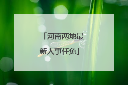 河南两地最新人事任免