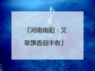 河南南阳：艾草飘香迎丰收