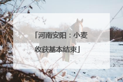 河南安阳：小麦收获基本结束