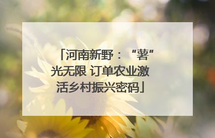 河南新野：“薯”光无限 订单农业激活乡村振兴密码