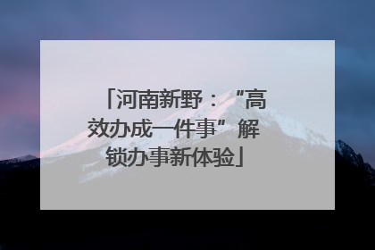 河南新野：“高效办成一件事”解锁办事新体验