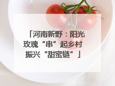 河南新野：阳光玫瑰“串”起乡村振兴“甜蜜链”