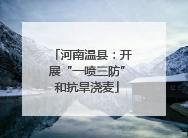 河南温县：开展“一喷三防”和抗旱浇麦
