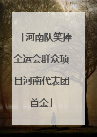 河南队笑捧全运会群众项目河南代表团首金