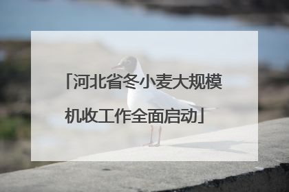 河北省冬小麦大规模机收工作全面启动
