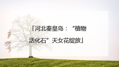 河北秦皇岛：“植物活化石”天女花绽放
