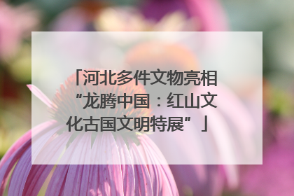 河北多件文物亮相“龙腾中国：红山文化古国文明特展”