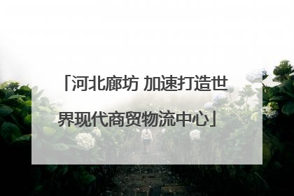 河北廊坊 加速打造世界现代商贸物流中心