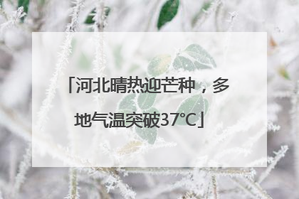 河北晴热迎芒种，多地气温突破37℃