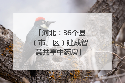 河北：36个县（市、区）建成智慧共享中药房