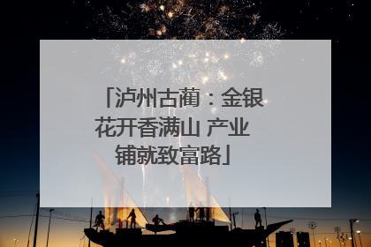 泸州古蔺：金银花开香满山 产业铺就致富路