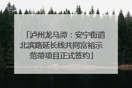 泸州龙马潭：安宁街道北滨路延长线共同富裕示范带项目正式签约