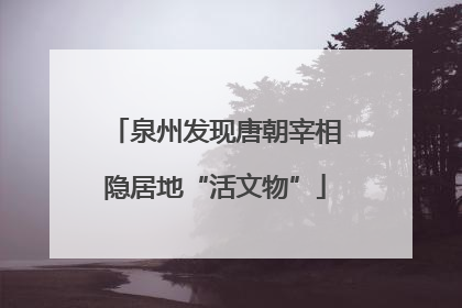 泉州发现唐朝宰相隐居地“活文物”