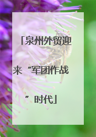 泉州外贸迎来“军团作战”时代