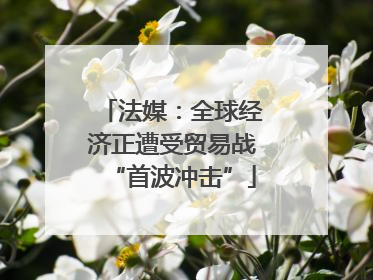 法媒：全球经济正遭受贸易战“首波冲击”