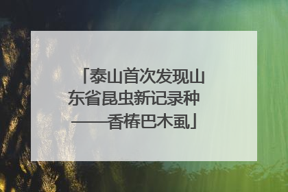 泰山首次发现山东省昆虫新记录种——香椿巴木虱