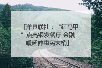 洋县联社：“红马甲”点亮银发餐厅 金融暖延伸惠民末梢