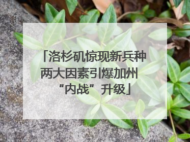 洛杉矶惊现新兵种 两大因素引爆加州“内战”升级