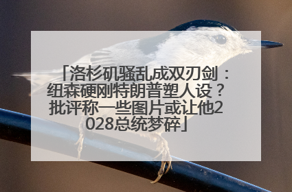 洛杉矶骚乱成双刃剑：纽森硬刚特朗普塑人设？批评称一些图片或让他2028总统梦碎