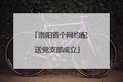 洛阳首个网约配送党支部成立