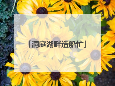 洞庭湖畔造船忙