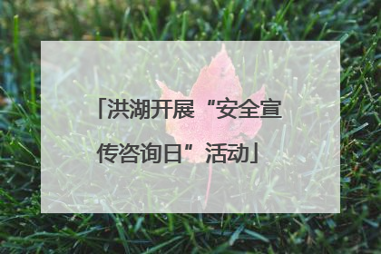洪湖开展“安全宣传咨询日”活动