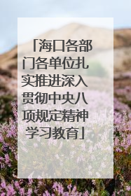 海口各部门各单位扎实推进深入贯彻中央八项规定精神学习教育