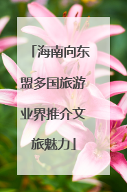 海南向东盟多国旅游业界推介文旅魅力