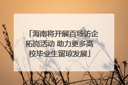 海南将开展百场访企拓岗活动 助力更多高校毕业生留琼发展