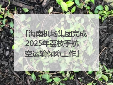 海南机场集团完成2025年荔枝季航空运输保障工作