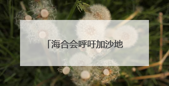 海合会呼吁加沙地带实现立即停火