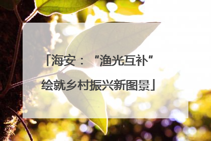 海安：“渔光互补” 绘就乡村振兴新图景