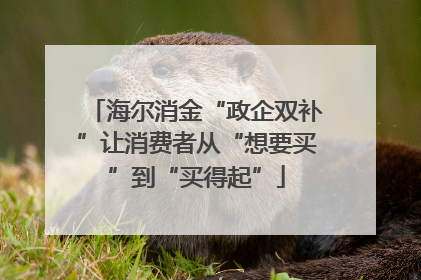 海尔消金“政企双补”让消费者从“想要买”到“买得起”