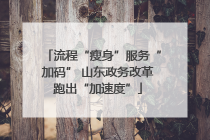 流程“瘦身”服务“加码” 山东政务改革跑出“加速度”