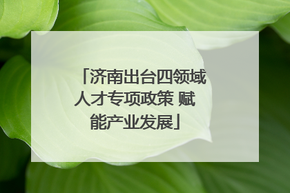 济南出台四领域人才专项政策 赋能产业发展