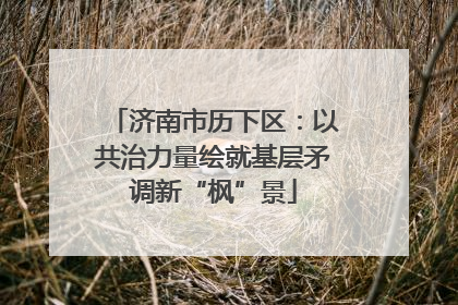 济南市历下区：以共治力量绘就基层矛调新“枫”景