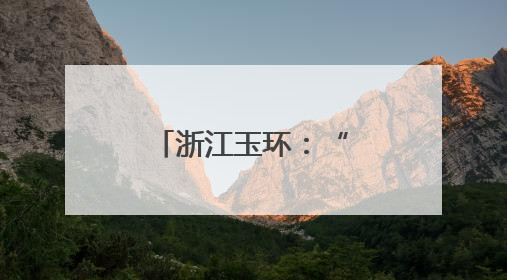 浙江玉环：“机器人军团”赋能城市管理