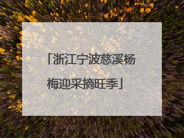 浙江宁波慈溪杨梅迎采摘旺季