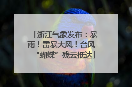 浙江气象发布：暴雨！雷暴大风！台风“蝴蝶”残云抵达