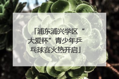 浦东浦兴学区“大爱杯”青少年乒乓球赛火热开启
