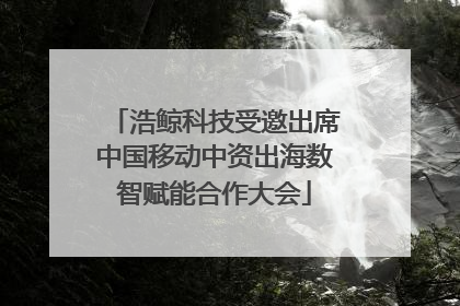 浩鲸科技受邀出席中国移动中资出海数智赋能合作大会