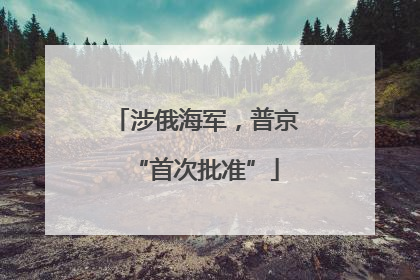 涉俄海军，普京“首次批准”