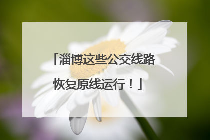 淄博这些公交线路恢复原线运行！