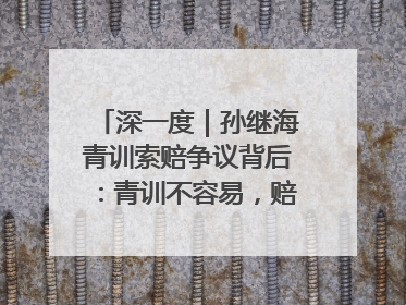 深一度｜孙继海青训索赔争议背后：青训不容易，赔偿可仲裁