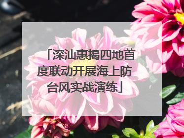 深汕惠揭四地首度联动开展海上防台风实战演练
