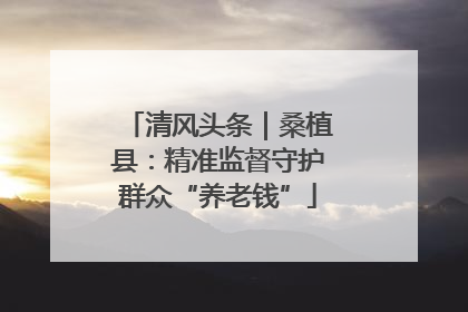清风头条｜桑植县：精准监督守护群众“养老钱”
