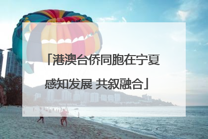 港澳台侨同胞在宁夏感知发展 共叙融合