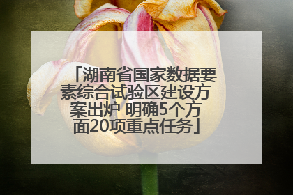湖南省国家数据要素综合试验区建设方案出炉 明确5个方面20项重点任务