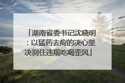 湖南省委书记沈晓明：以猛药去疴的决心坚决刹住违规吃喝歪风