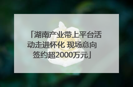 湖南产业带上平台活动走进怀化 现场意向签约超2000万元